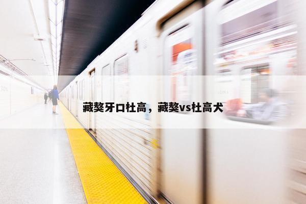 藏獒牙口杜高，藏獒vs杜高犬