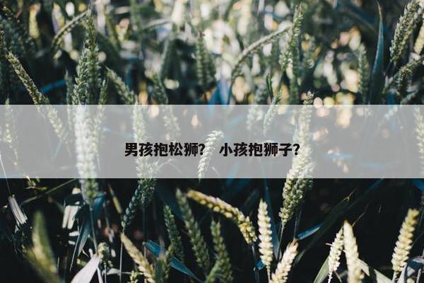 男孩抱松狮？ 小孩抱狮子？