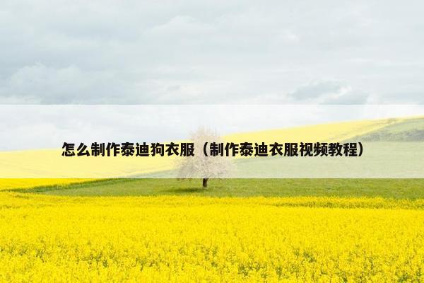 怎么制作泰迪狗衣服（制作泰迪衣服视频教程）