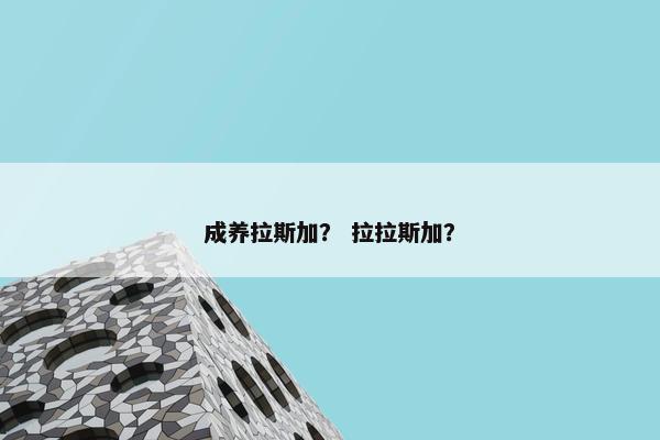 成养拉斯加？ 拉拉斯加？