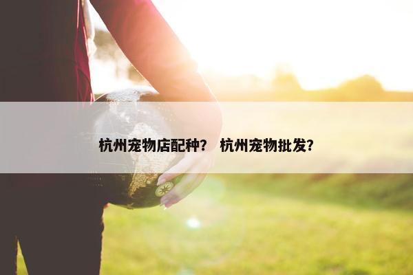 杭州宠物店配种？ 杭州宠物批发？