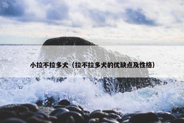 小拉不拉多犬（拉不拉多犬的优缺点及性格）