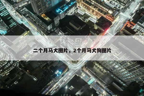 二个月马犬图片，2个月马犬狗图片