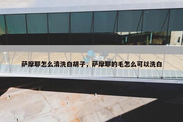 萨摩耶怎么清洗白胡子，萨摩耶的毛怎么可以洗白
