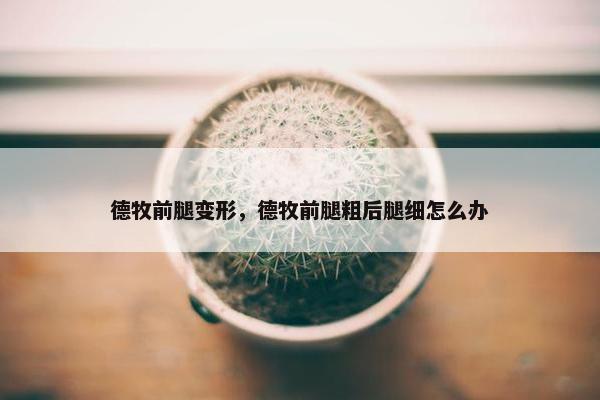 德牧前腿变形，德牧前腿粗后腿细怎么办