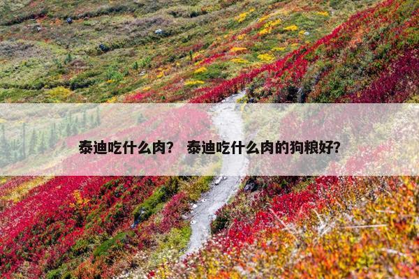 泰迪吃什么肉？ 泰迪吃什么肉的狗粮好？