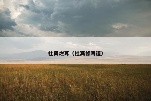 杜宾烂耳（杜宾修耳道）