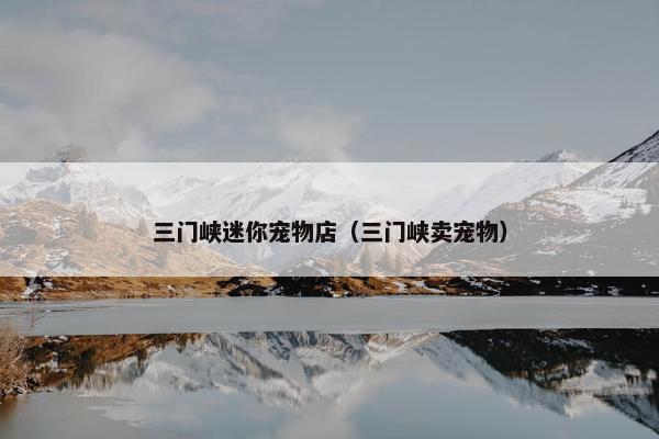 三门峡迷你宠物店（三门峡卖宠物）