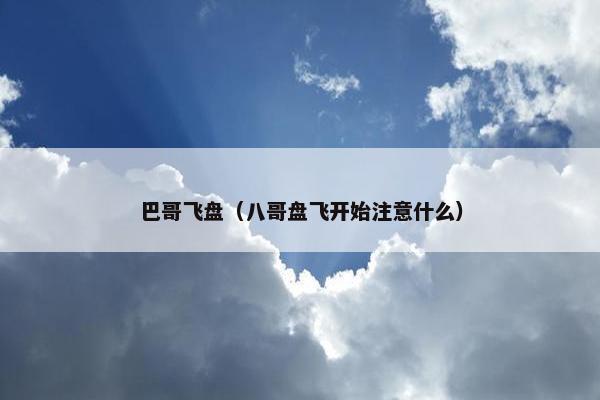 巴哥飞盘（八哥盘飞开始注意什么）