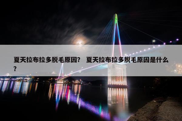 夏天拉布拉多脱毛原因？ 夏天拉布拉多脱毛原因是什么？