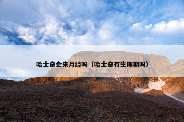 哈士奇会来月经吗（哈士奇有生理期吗）