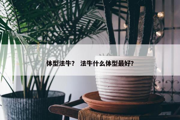 体型法牛？ 法牛什么体型最好？