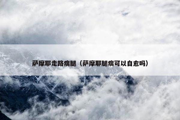 萨摩耶走路瘸腿（萨摩耶腿瘸可以自愈吗）