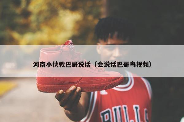 河南小伙教巴哥说话（会说话巴哥鸟视频）