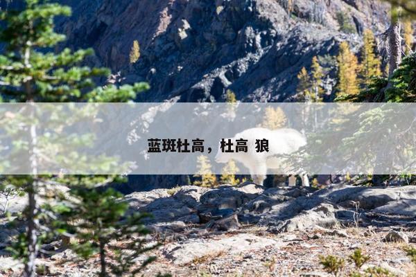 蓝斑杜高，杜高 狼
