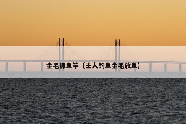 金毛抓鱼竿（主人钓鱼金毛放鱼）