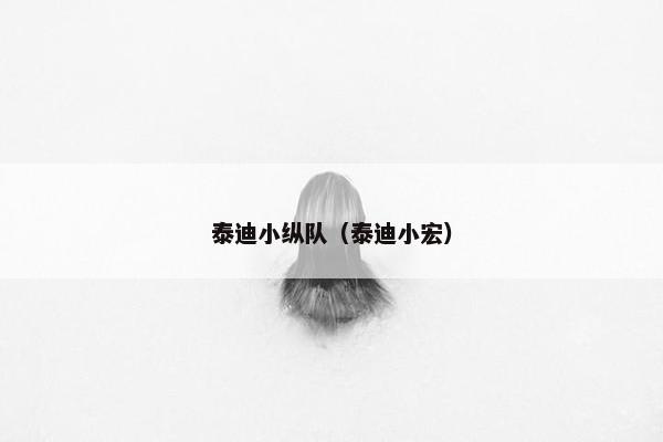 泰迪小纵队（泰迪小宏）