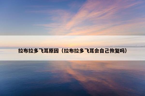拉布拉多飞耳原因（拉布拉多飞耳会自己恢复吗）
