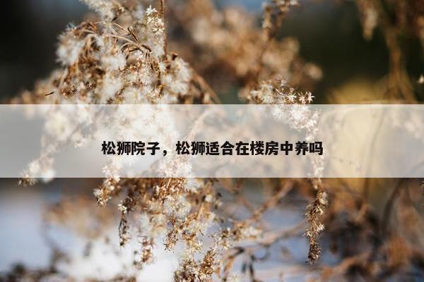 松狮院子，松狮适合在楼房中养吗