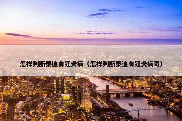 怎样判断泰迪有狂犬病（怎样判断泰迪有狂犬病毒）