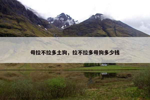 母拉不拉多土狗，拉不拉多母狗多少钱