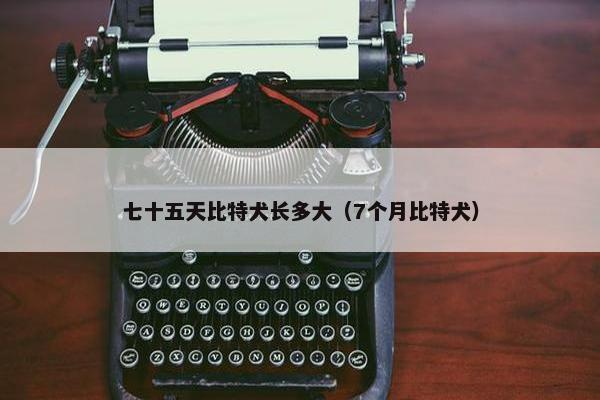 七十五天比特犬长多大（7个月比特犬）