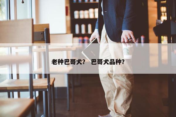 老种巴哥犬？ 巴哥犬品种？