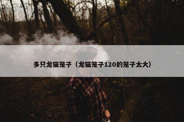 多只龙猫笼子（龙猫笼子120的笼子太大）