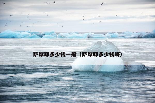 萨摩耶多少钱一般（萨摩耶多少钱呀）