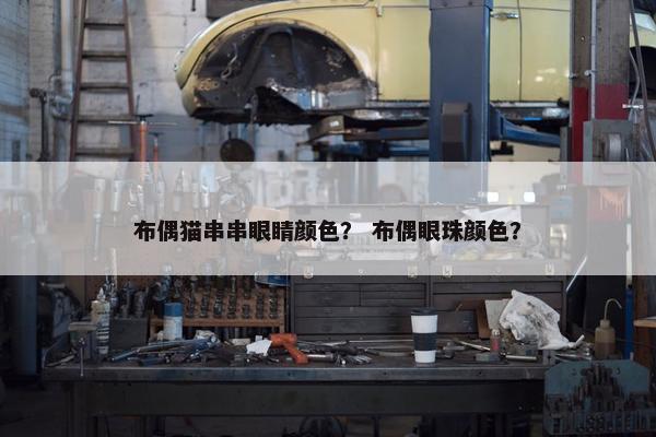 布偶猫串串眼睛颜色？ 布偶眼珠颜色？