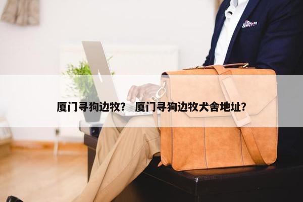 厦门寻狗边牧？ 厦门寻狗边牧犬舍地址？