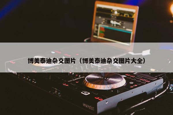 博美泰迪杂交图片（博美泰迪杂交图片大全）