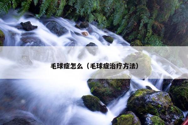 毛球症怎么（毛球症治疗方法）