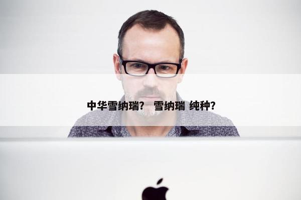 中华雪纳瑞？ 雪纳瑞 纯种？