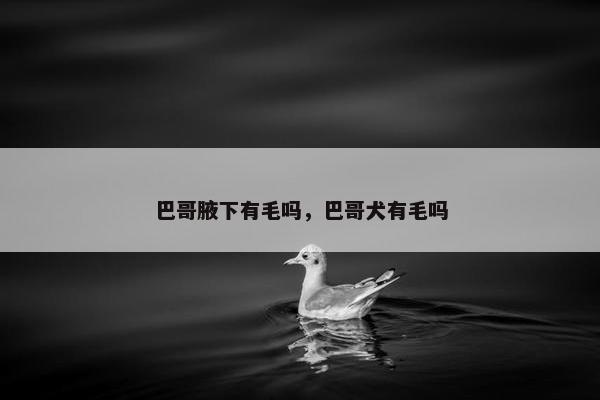 巴哥腋下有毛吗，巴哥犬有毛吗