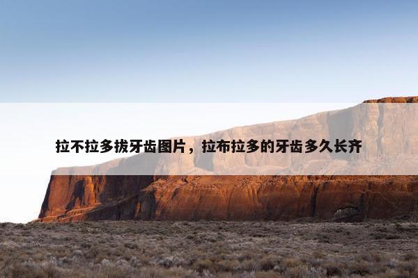 拉不拉多拔牙齿图片，拉布拉多的牙齿多久长齐