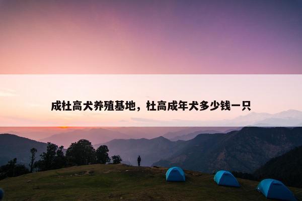 成杜高犬养殖基地，杜高成年犬多少钱一只