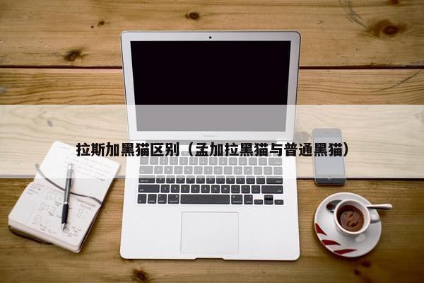 拉斯加黑猫区别（孟加拉黑猫与普通黑猫）
