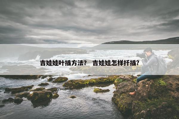 吉娃娃叶插方法？ 吉娃娃怎样扦插？