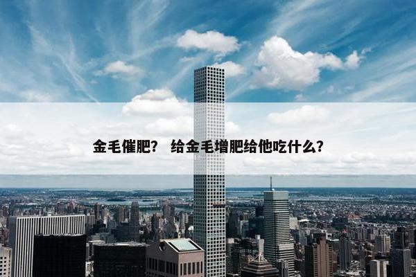 金毛催肥？ 给金毛增肥给他吃什么？