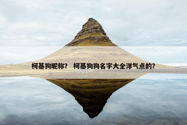 柯基狗昵称？ 柯基狗狗名字大全洋气点的？
