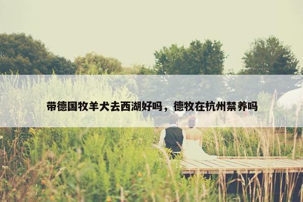 带德国牧羊犬去西湖好吗，德牧在杭州禁养吗