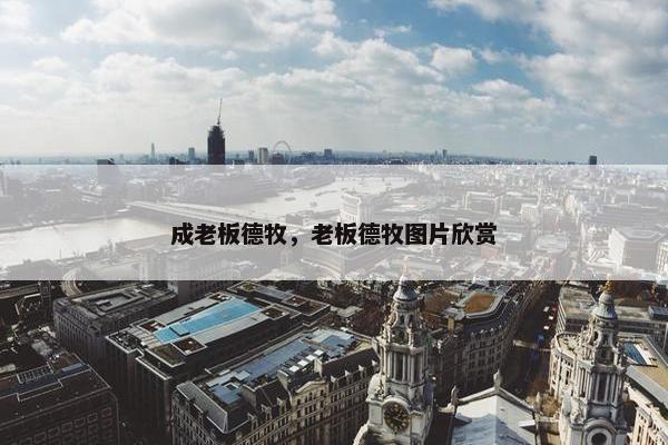 成老板德牧，老板德牧图片欣赏