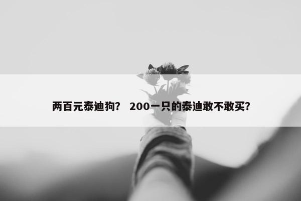 两百元泰迪狗？ 200一只的泰迪敢不敢买？