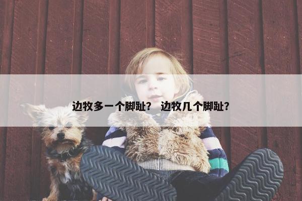 边牧多一个脚趾？ 边牧几个脚趾？