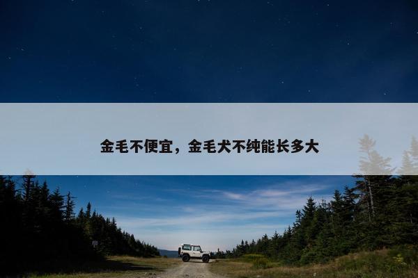 金毛不便宜，金毛犬不纯能长多大