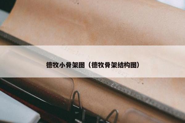 德牧小骨架图（德牧骨架结构图）