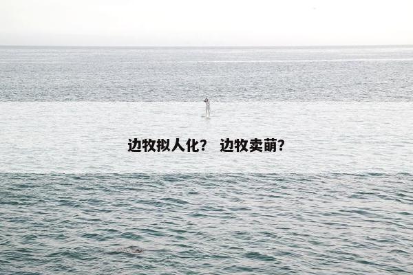 边牧拟人化？ 边牧卖萌？