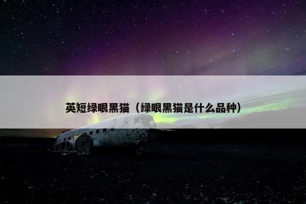 英短绿眼黑猫（绿眼黑猫是什么品种）