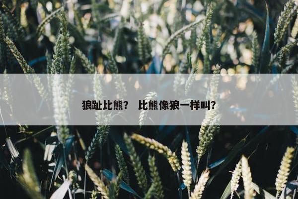 狼趾比熊？ 比熊像狼一样叫？